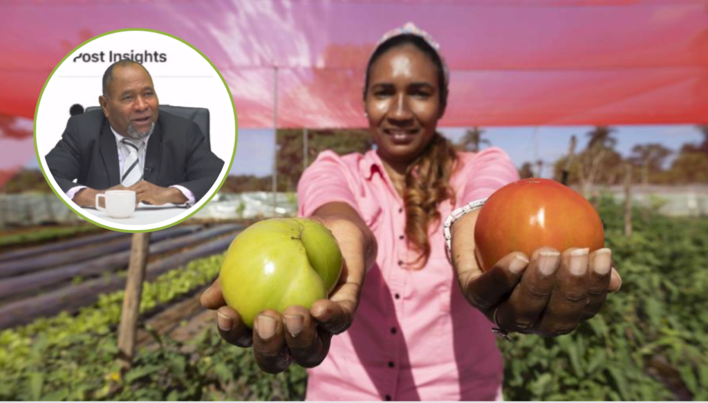 Acusados-de-robo-en-torres-DN