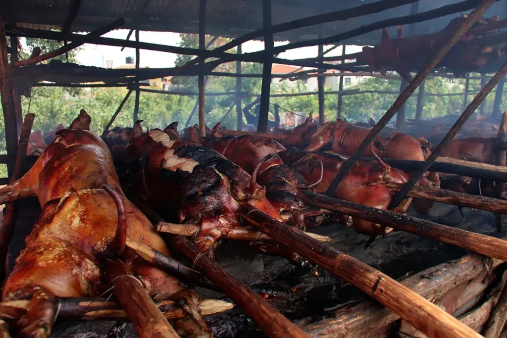 FOTO-Imagen-de-cerdos-asados-en-puya