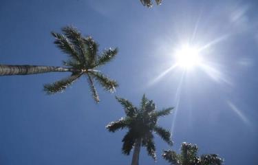 onamet-10d4fcca-focus-0-0-375-240