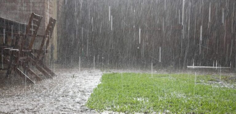 Captura-de-pantalla-2026-01-05-081208